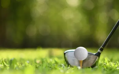 About Indian Golf Safari