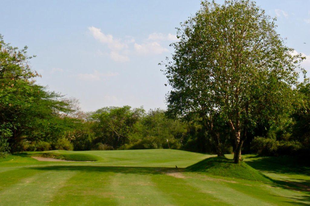 Delhi Golf course 2-min