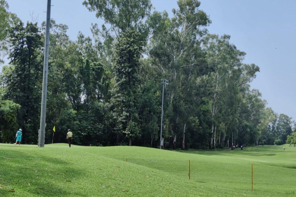 GCC man on green-min